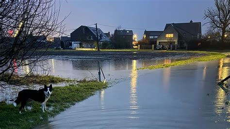 londerzeel wateroverlast|Regen zet straten in Londerzeel blank, huizen。